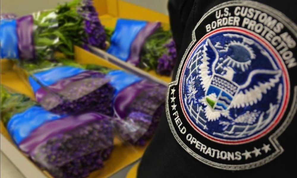 Valentine’s Day, Mother’s Day, and the Easter holiday weekend are the busiest times of the year for CBP Agriculture Specialists.