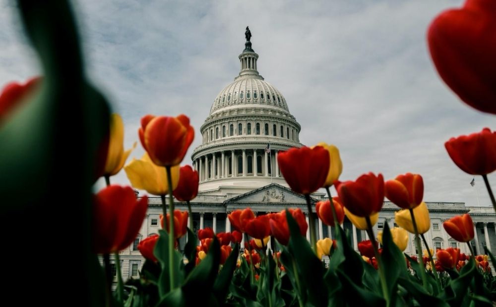 U.S. Capitol Building