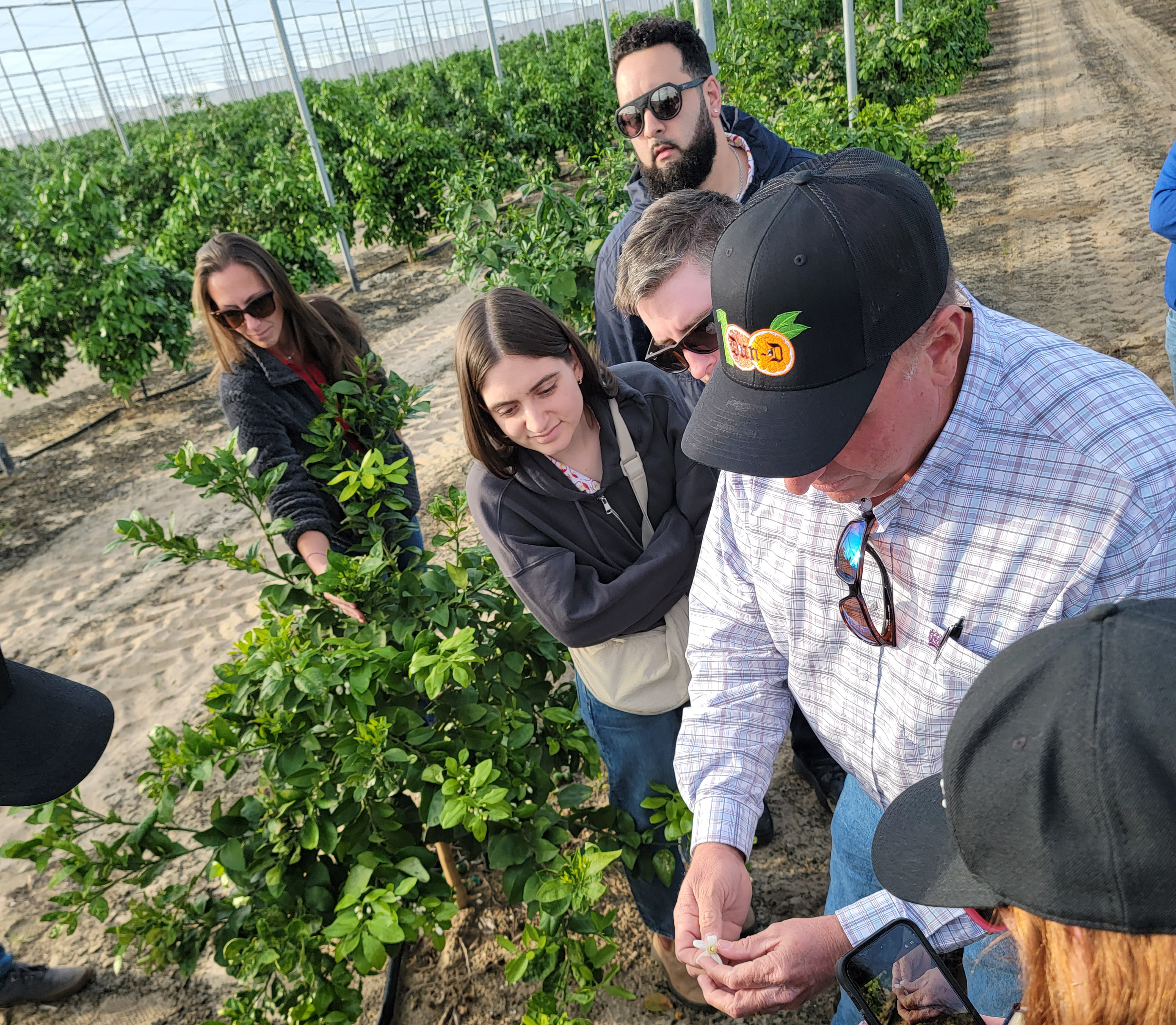 Steven Callaham showing the class the citrus bloom.