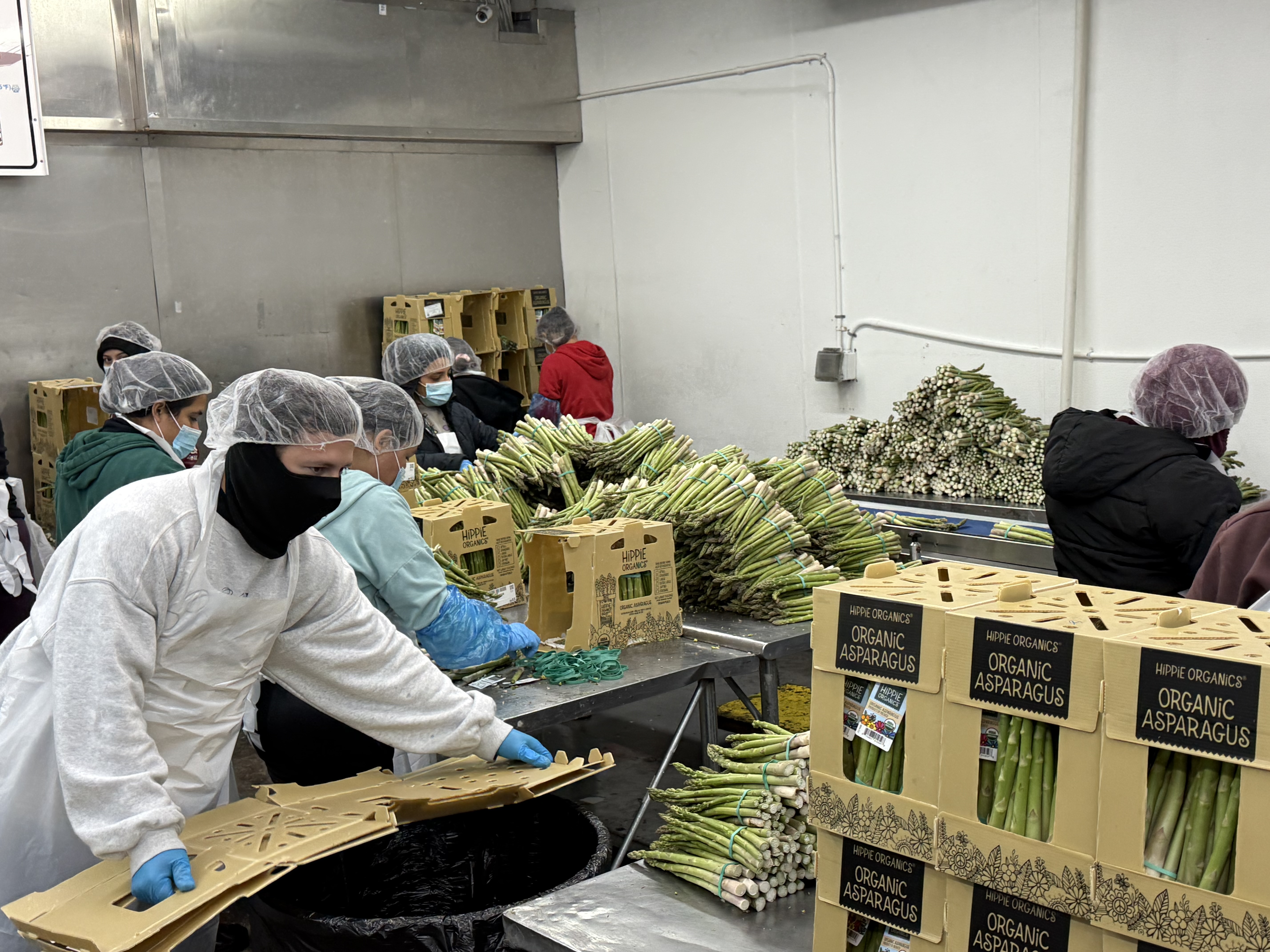 The STEP-UPP Retail Class at Alpine Fresh.  