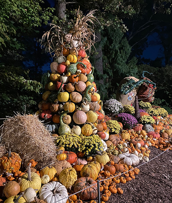 A fall display in the Atlanta Botanical Garden entrance to the restaurant of the Garden Fresh Flavor reception.