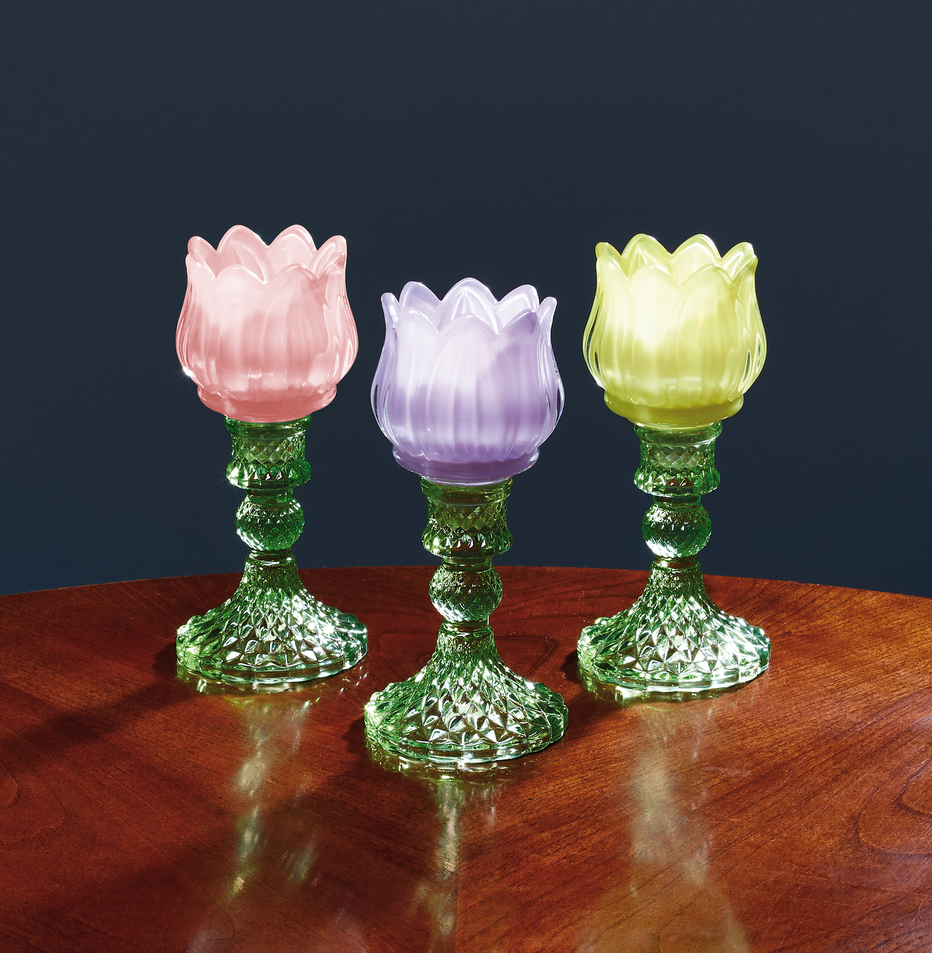 tulip