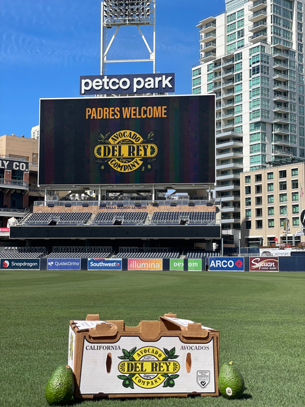 avocados on the infield