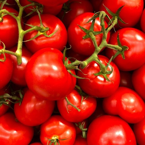 tomato