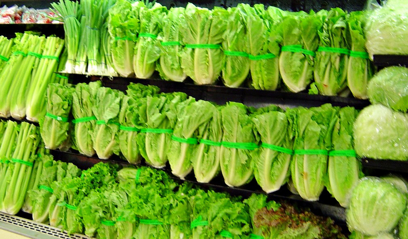 lettuce