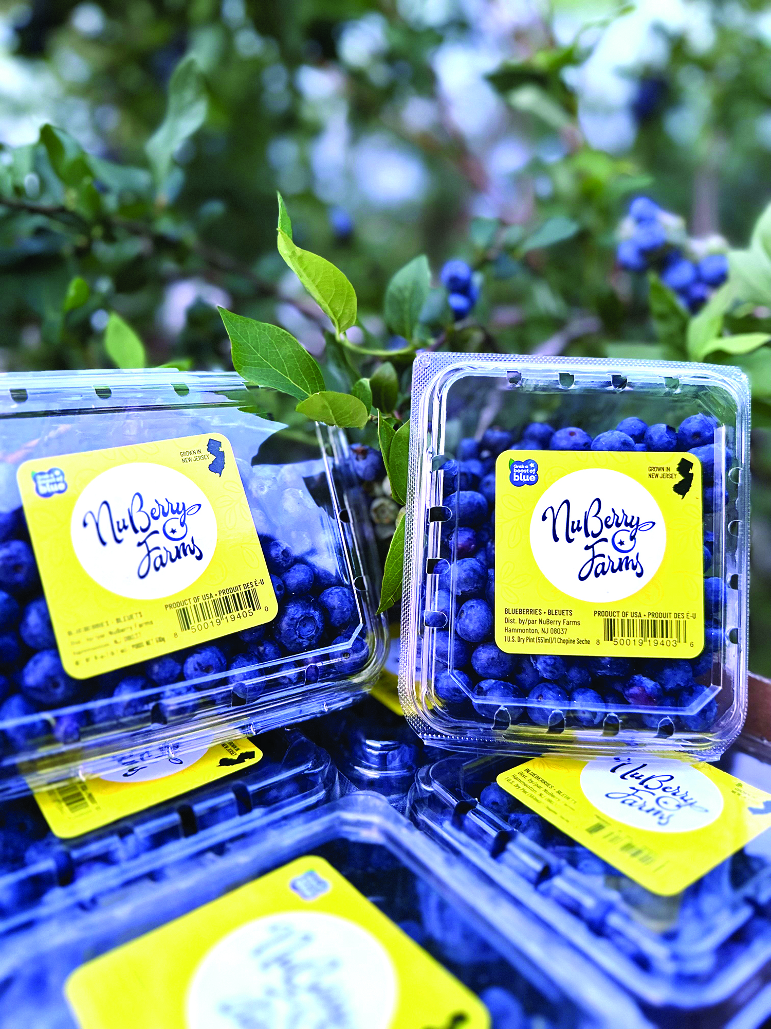 nuberry