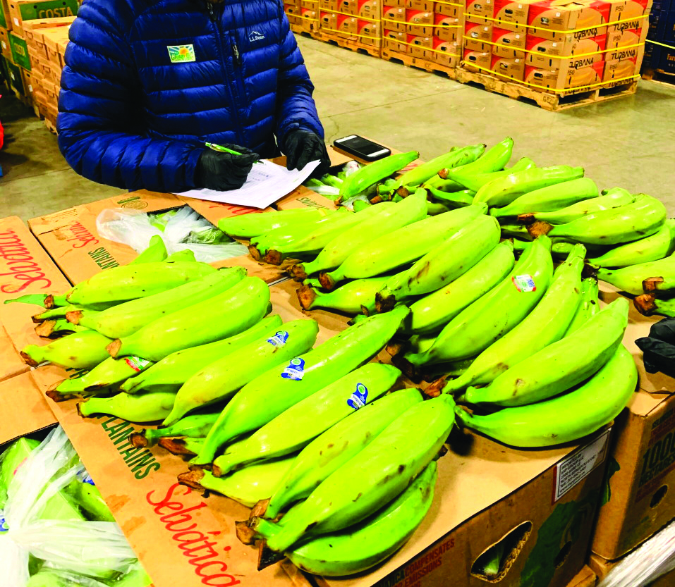 plantains