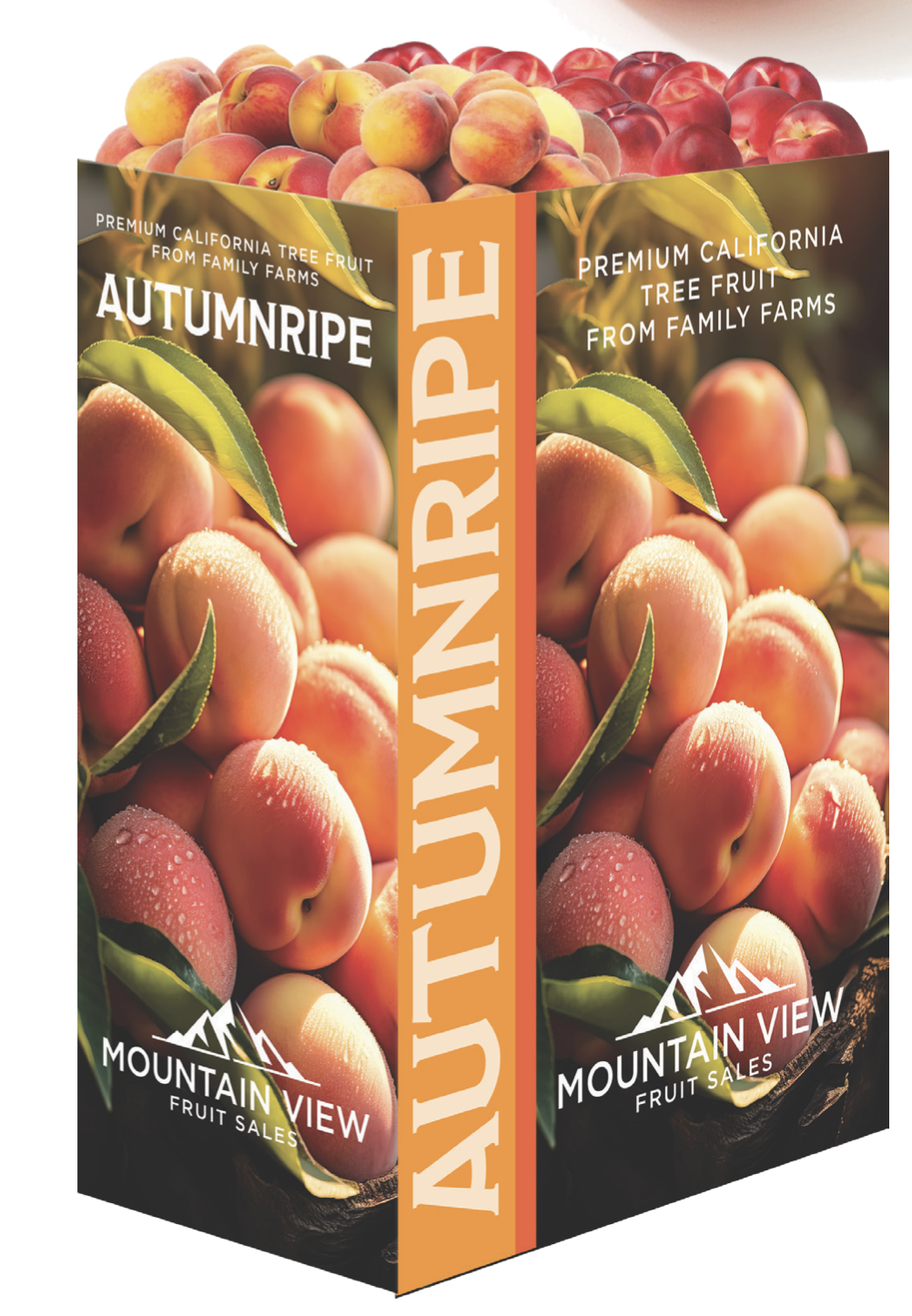 autumn ripe
