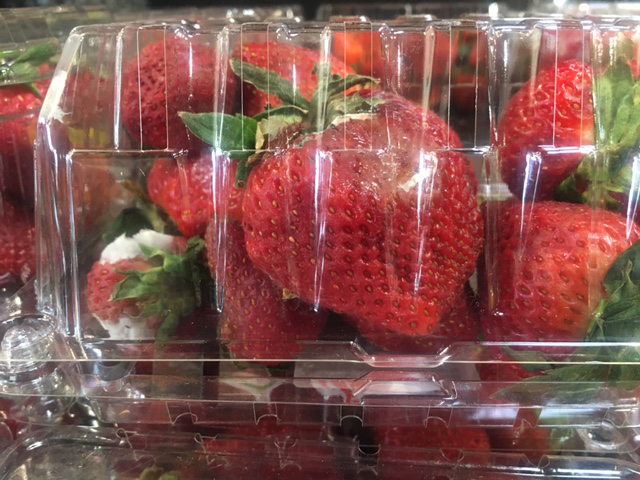 mildewy strawberries