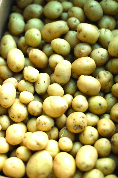 white potato
