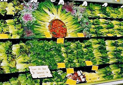 lettuce display