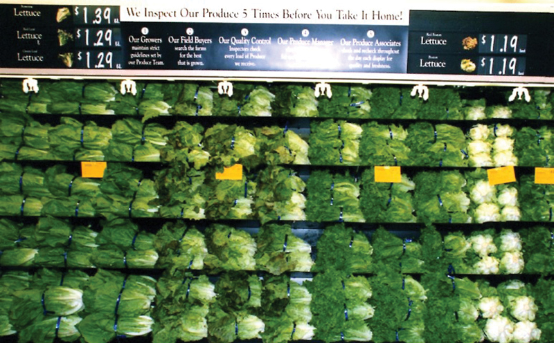 lettuce display