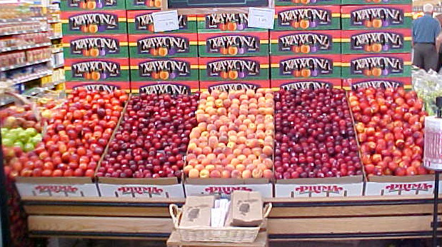 stone fruit