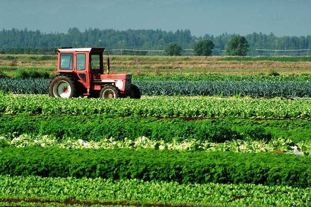 tractor in field