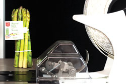 Link-plus-close-up-asparagus