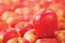 Pinata-Apple-6621