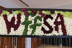 WFFSA