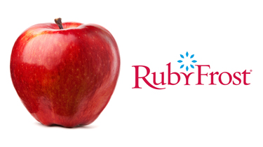 HUDSONRF-Apple-Picturel