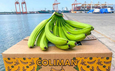 Manzanillo-Coliman