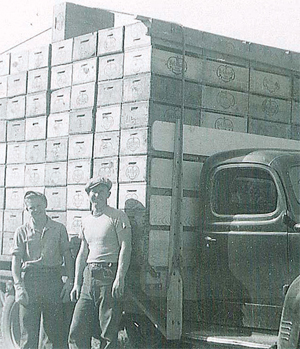 RayTom_1942