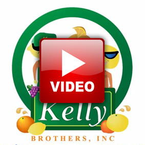 kelvid