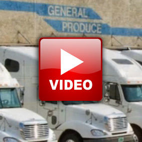 gavideo image