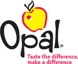 Opal logo-tag