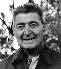 Cy-Mann