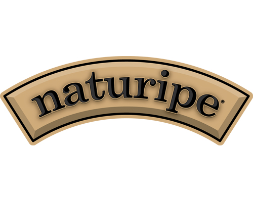 nr corp BLACK logo process