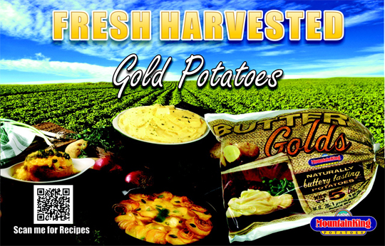 Fresh-Harvested-Golds