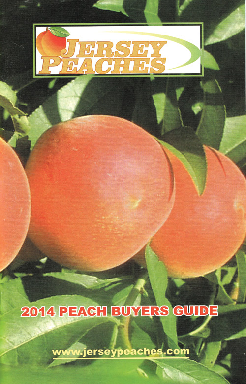 14-Buyer-guide-Cover0527201