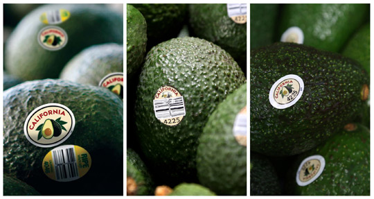 California-Avocado-Label-In