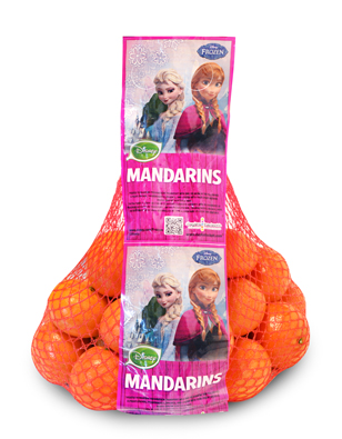 DaykaHackett DisneyFrozen-MandarinD-StyleBag2