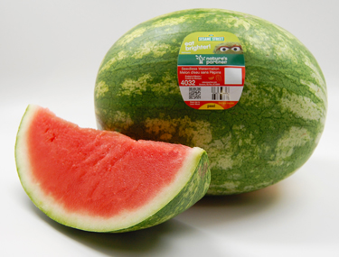 watermelon
