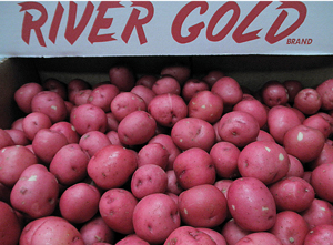 FloridaFreshPotatoGrowers