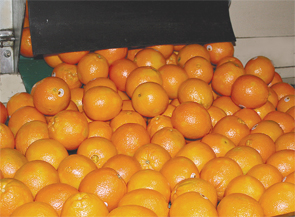 navel-packing