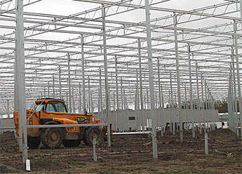New-greenhouse