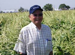bob-sakata-in-sweet-corn-field-copy