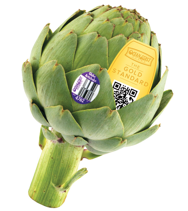 Gold-Standard-Artichoke-Clamshell-with-insert