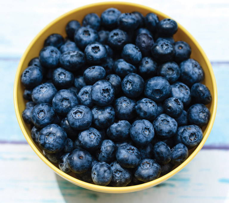 jersey fresh blueberries